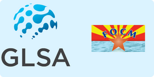 GLSA & FOCM