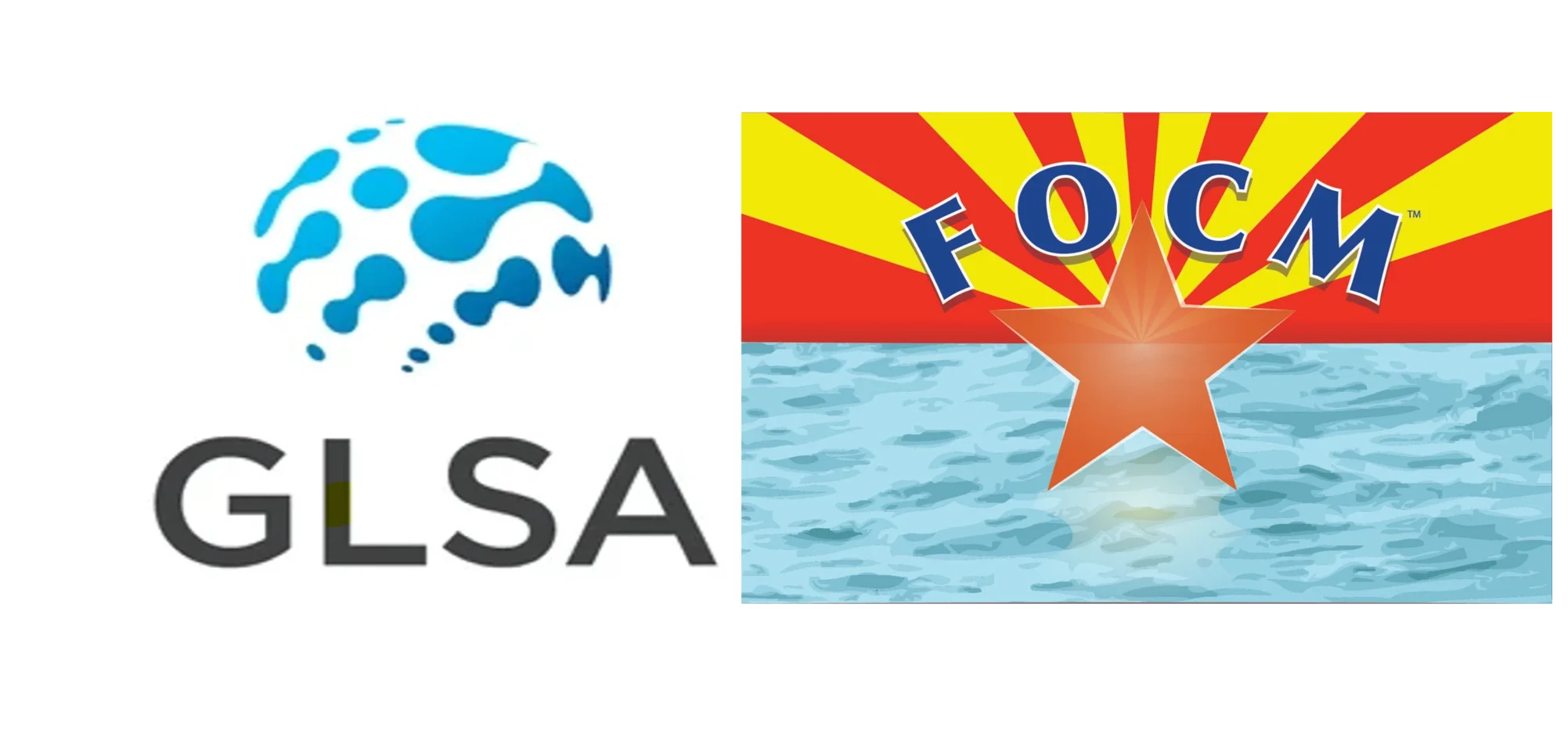 GLSA & FOCM